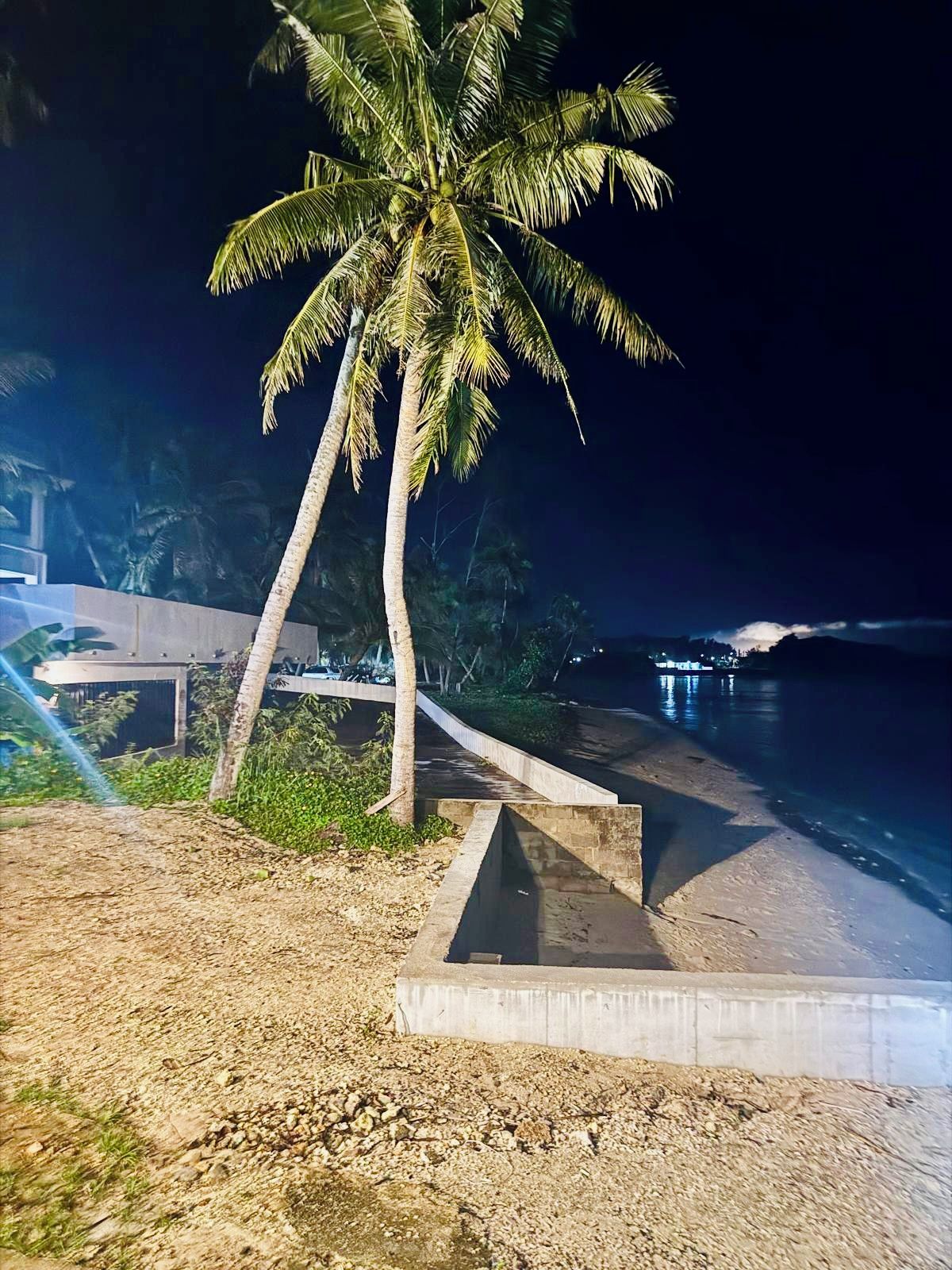 Une scène nocturne sur une plage, avec un palmier, une allée en béton et une étendue d’eau.
