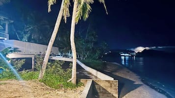 Une scène nocturne sur une plage, avec un palmier, une allée en béton et une étendue d’eau.