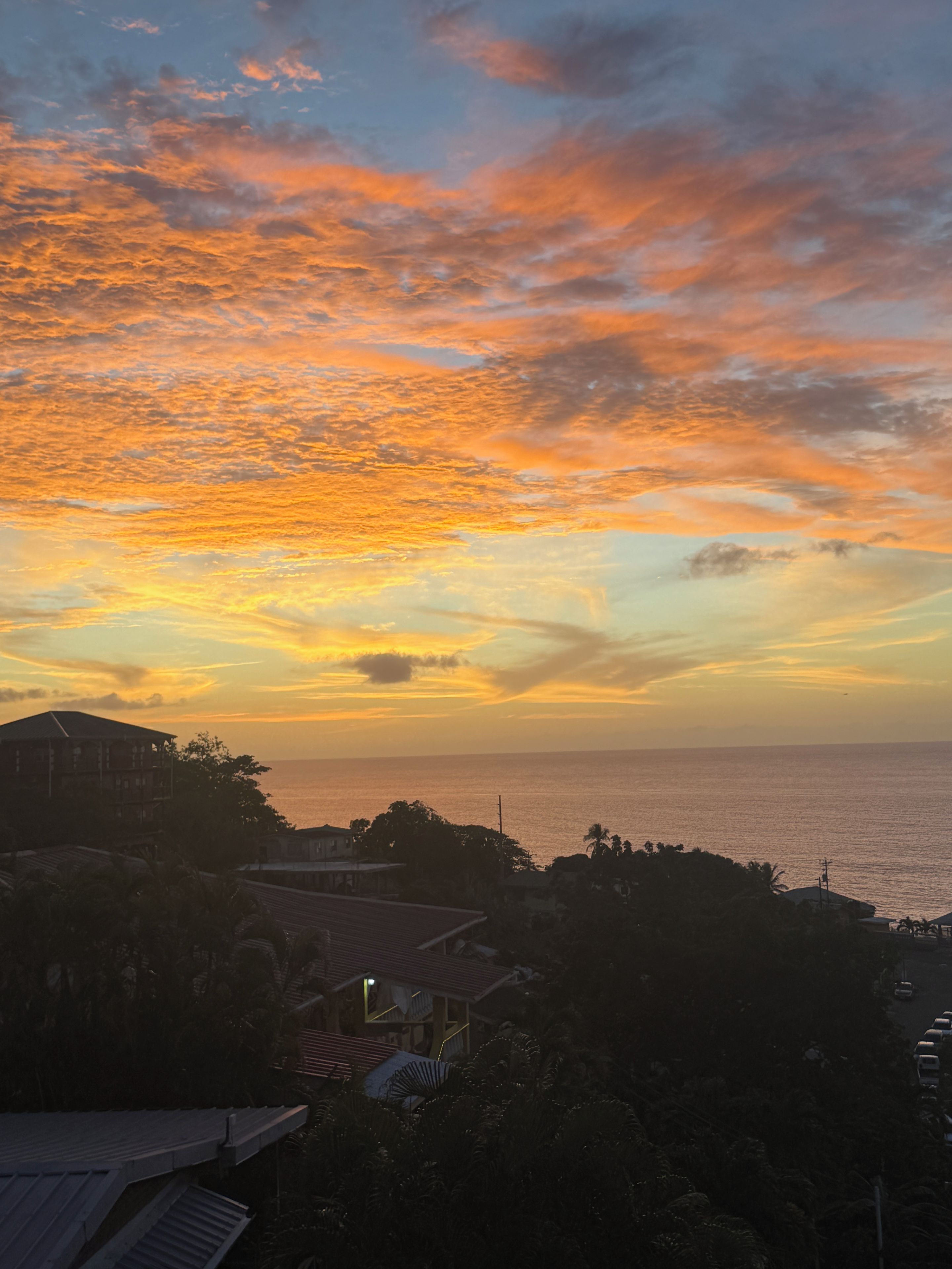A sunset view over a coastal area with buildings and vegetation.