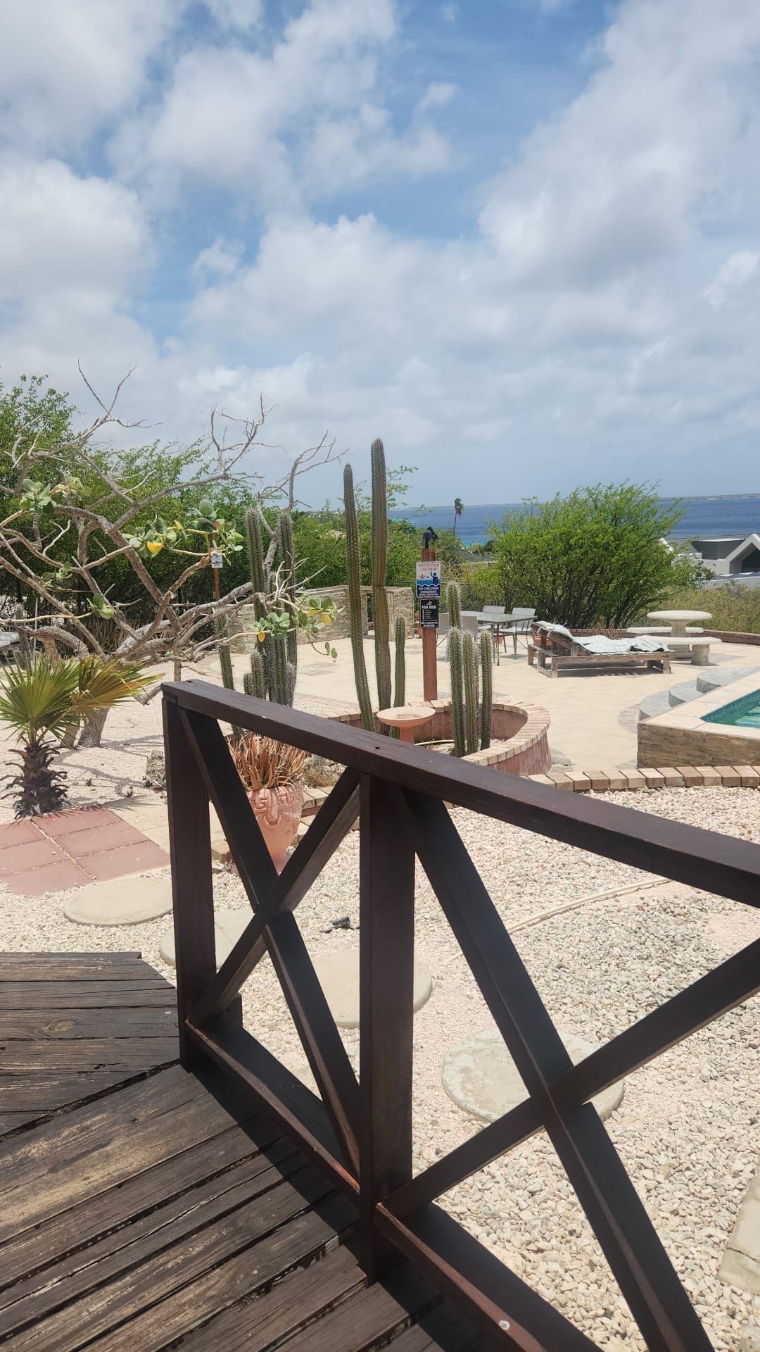 A wooden deck with a view of a landscaped area including cacti and a pool.