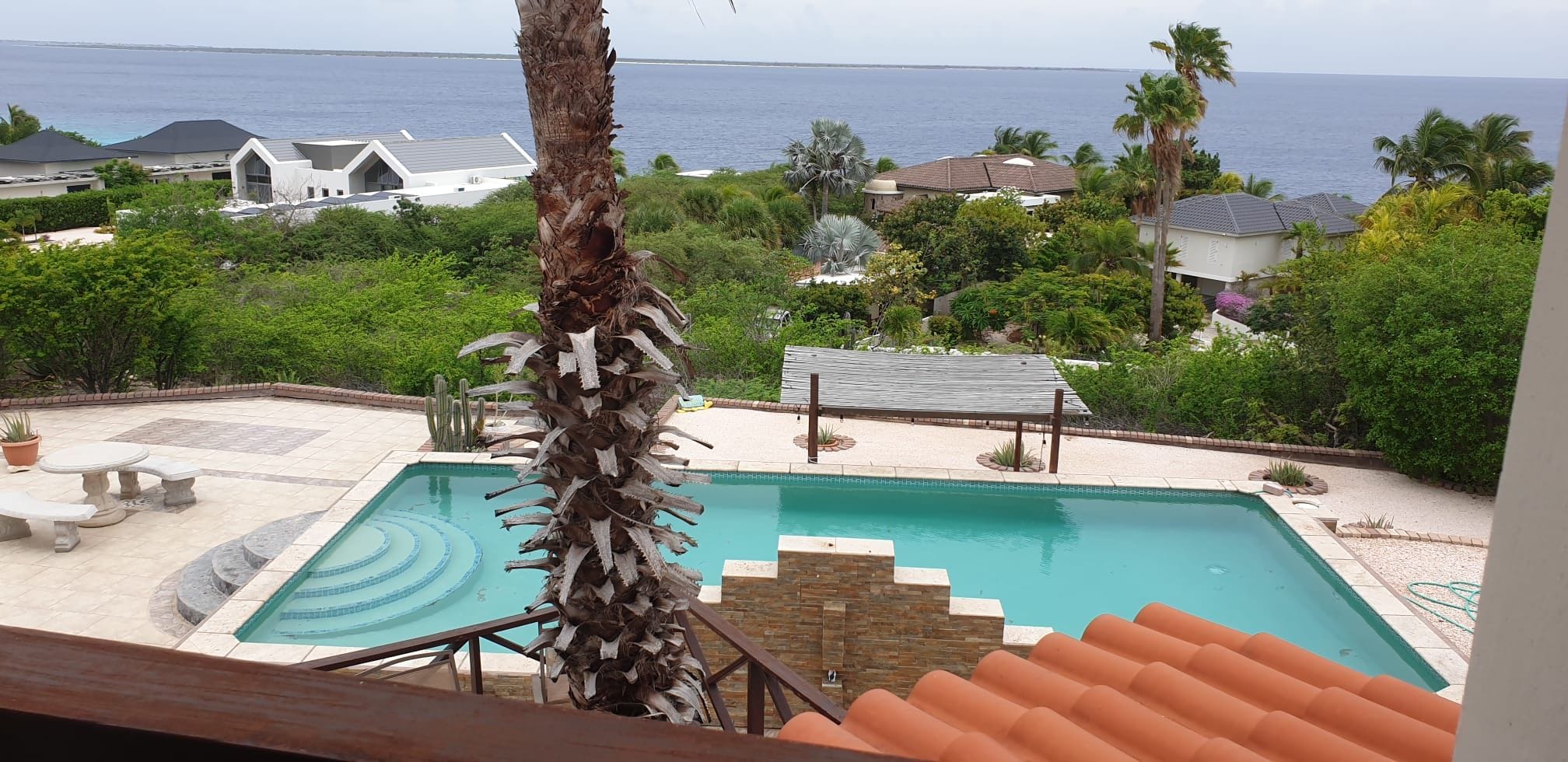 A swimming pool with a view of the ocean, surrounded by greenery and a few buildings.