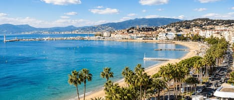 A coastal cityscape with a beach, palm trees, and a marina.