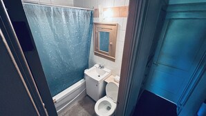 Et badeværelse med bruser, toilet og håndvask.