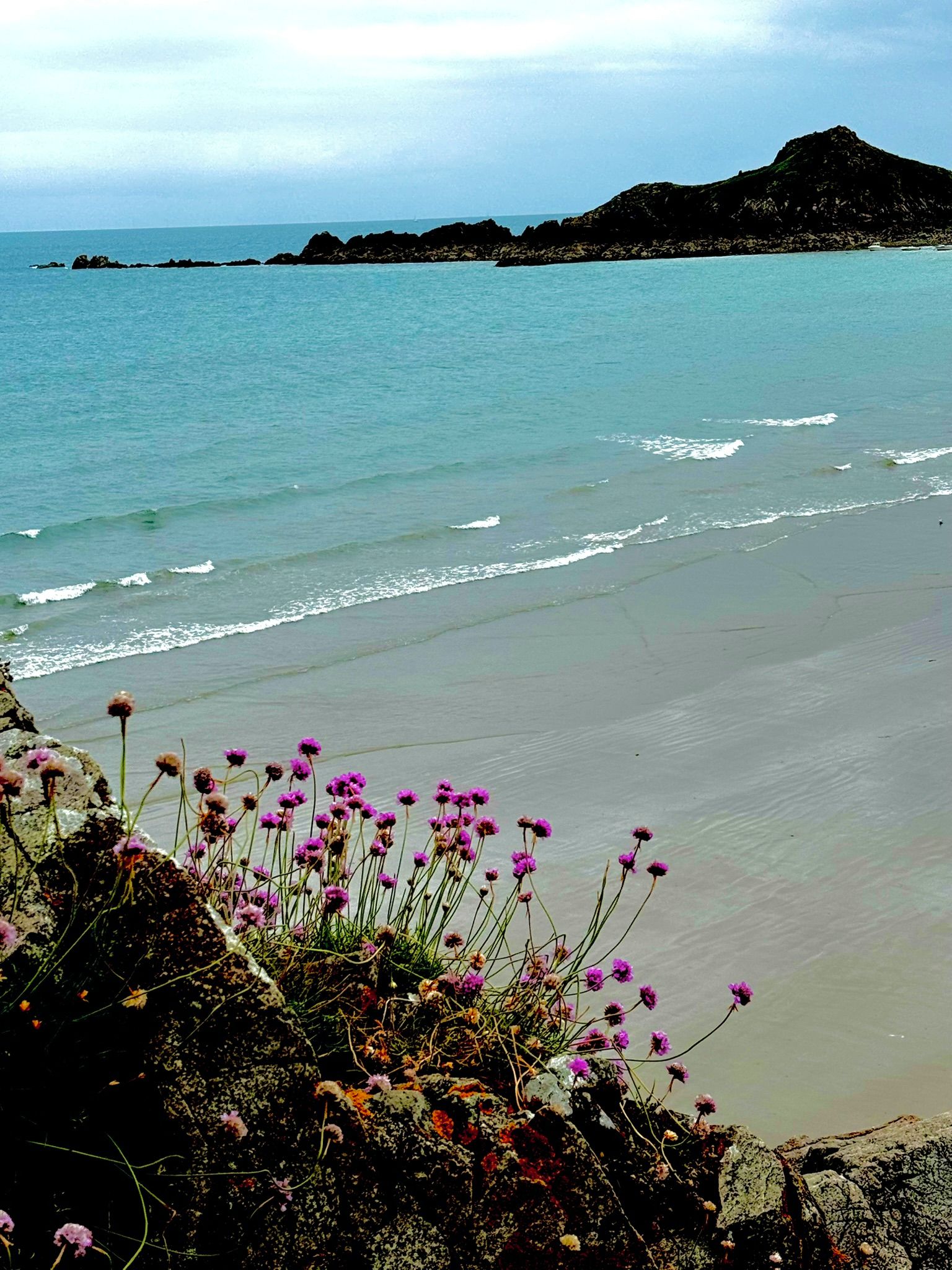 A beach with waves, a mountain in the distance, and purple flowers in the foreground.