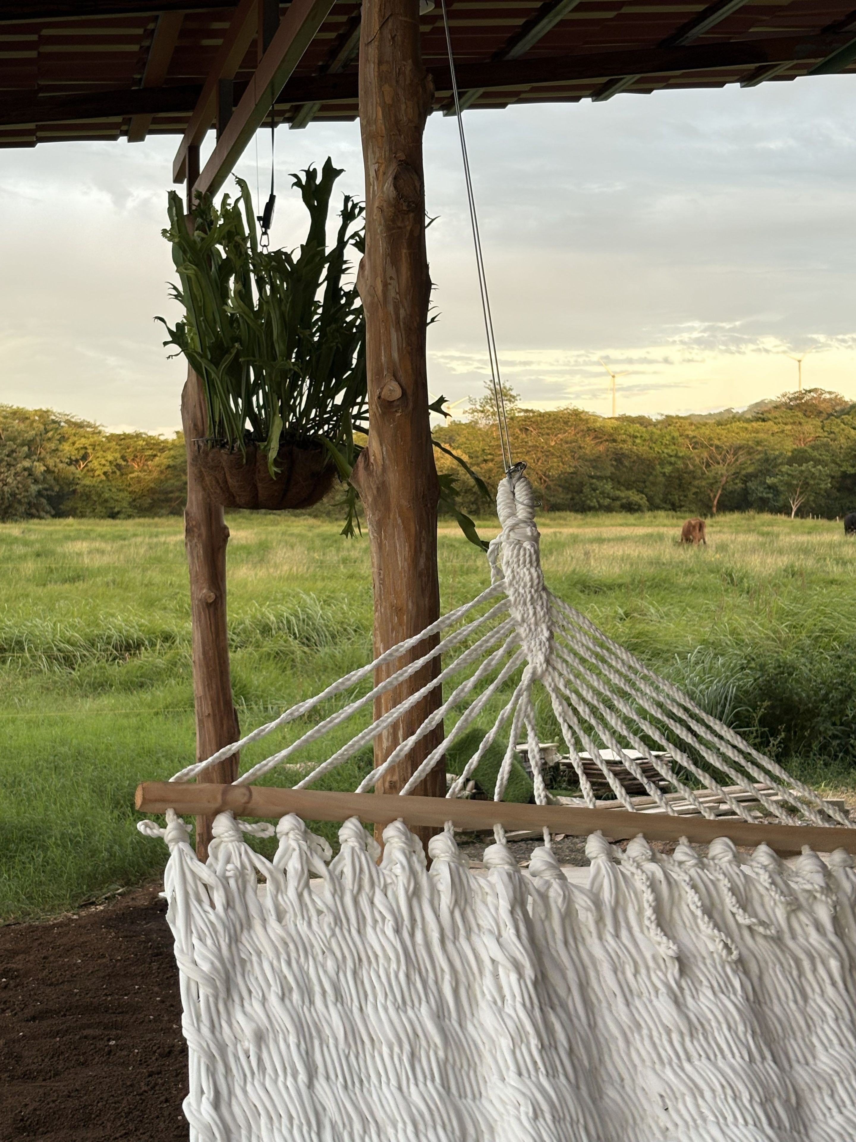A hammock suspended between wooden posts in an outdoor setting with a grassy field and trees in the background.