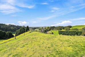 A rural landscape with a fenced area, a wooden gate, and a clear sky. - The Black Barn - Whakatane Holiday Home (Whakatane)