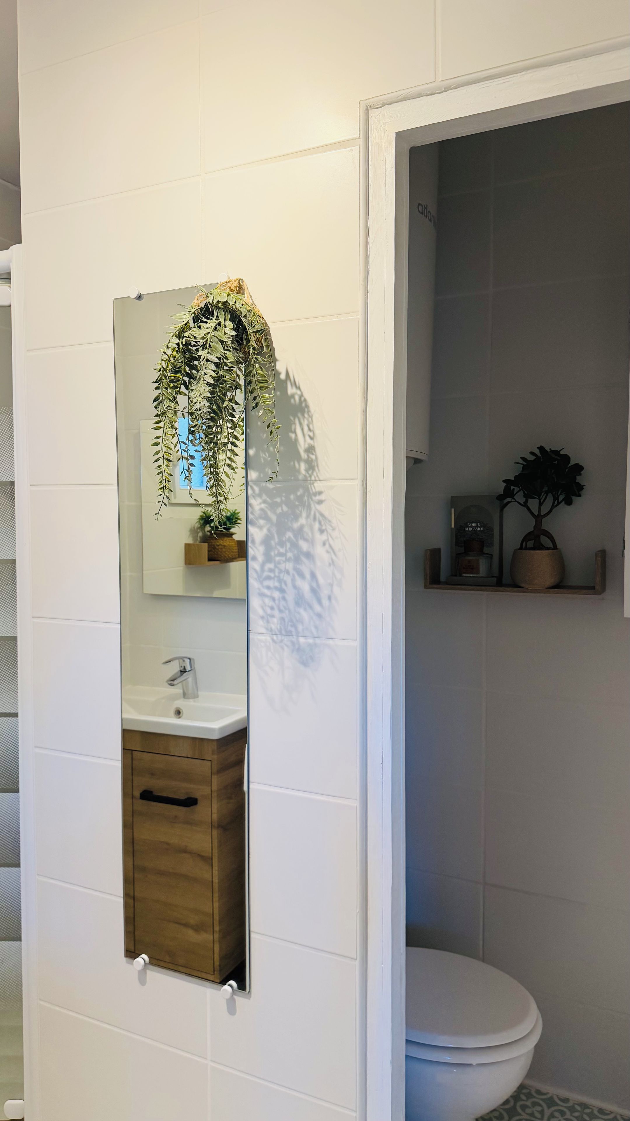 A bathroom with a white sink, a mirror, and a toilet. There is a plant on the wall and a shelf with a potted plant and a framed picture.
