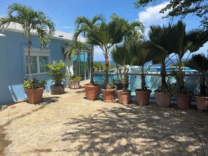 A terrace with potted plants and a view of the ocean. -  Casa BerKana,  Coastal Home, with OCEAN VIEWS, in charming Quebradillas. (San José)