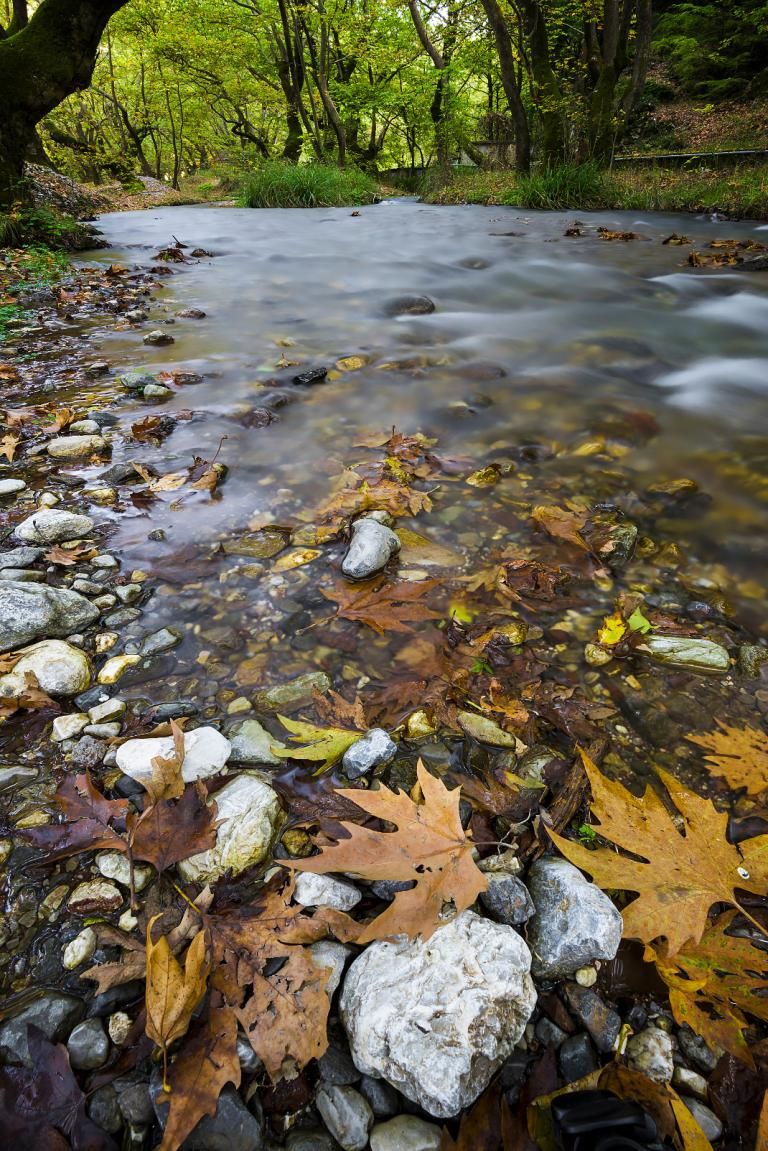 A stream with clear water, surrounded by rocks and autumn leaves.