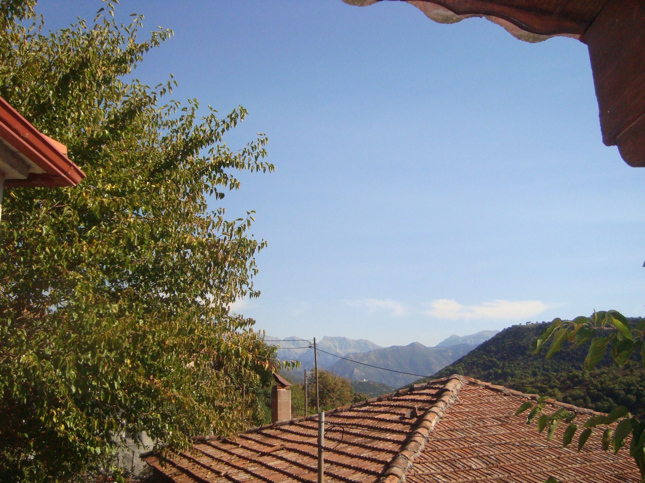 A residential area with terracotta roof tiles, a tree, and a mountainous backdrop.