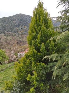 A mountainous landscape with dense green foliage and a small building with a red roof. - Ενοικιαζόμενη βίλλα μέχρι 9 άτομα μια εμπειρία διαμονής στα Καλάβρυτα για δράση (Kleitoria)