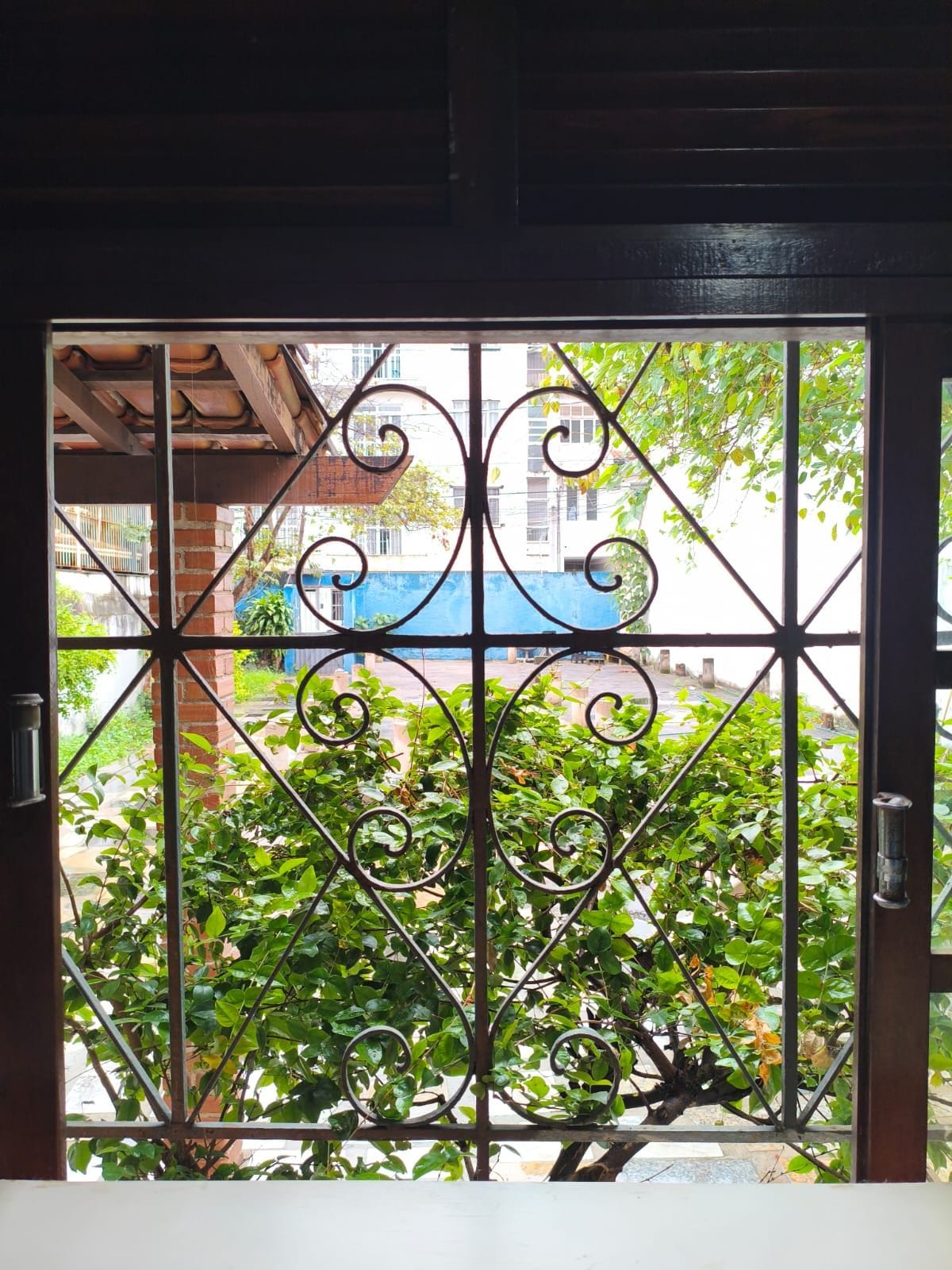 Una reja metálica con diseños intrincados, que da paso a un patio con vegetación y una estructura azul al fondo.