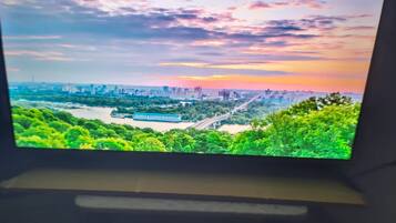 Un televisor mostrando un paisaje con un río, vegetación y el horizonte de una ciudad.
