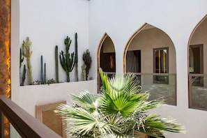 A room with a white wall adorned with various cacti and a large palm plant in the foreground. - Villa Lenha (Marrakech)