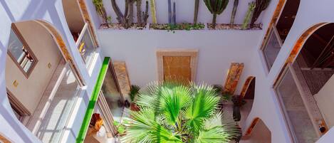 Un atrium à plusieurs niveaux, doté de passerelles en arc de cercle, d’un palmier au centre et de différents cactus au niveau supérieur.