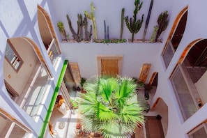 Un atrio de varios niveles con pasarelas arqueadas, una palmera en el centro y diversos cactus en el nivel superior.