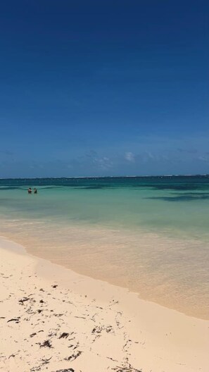 A beach with clear water and a sandy shore. - Beachfront Views Next to the Pier (Puerto Morelos)