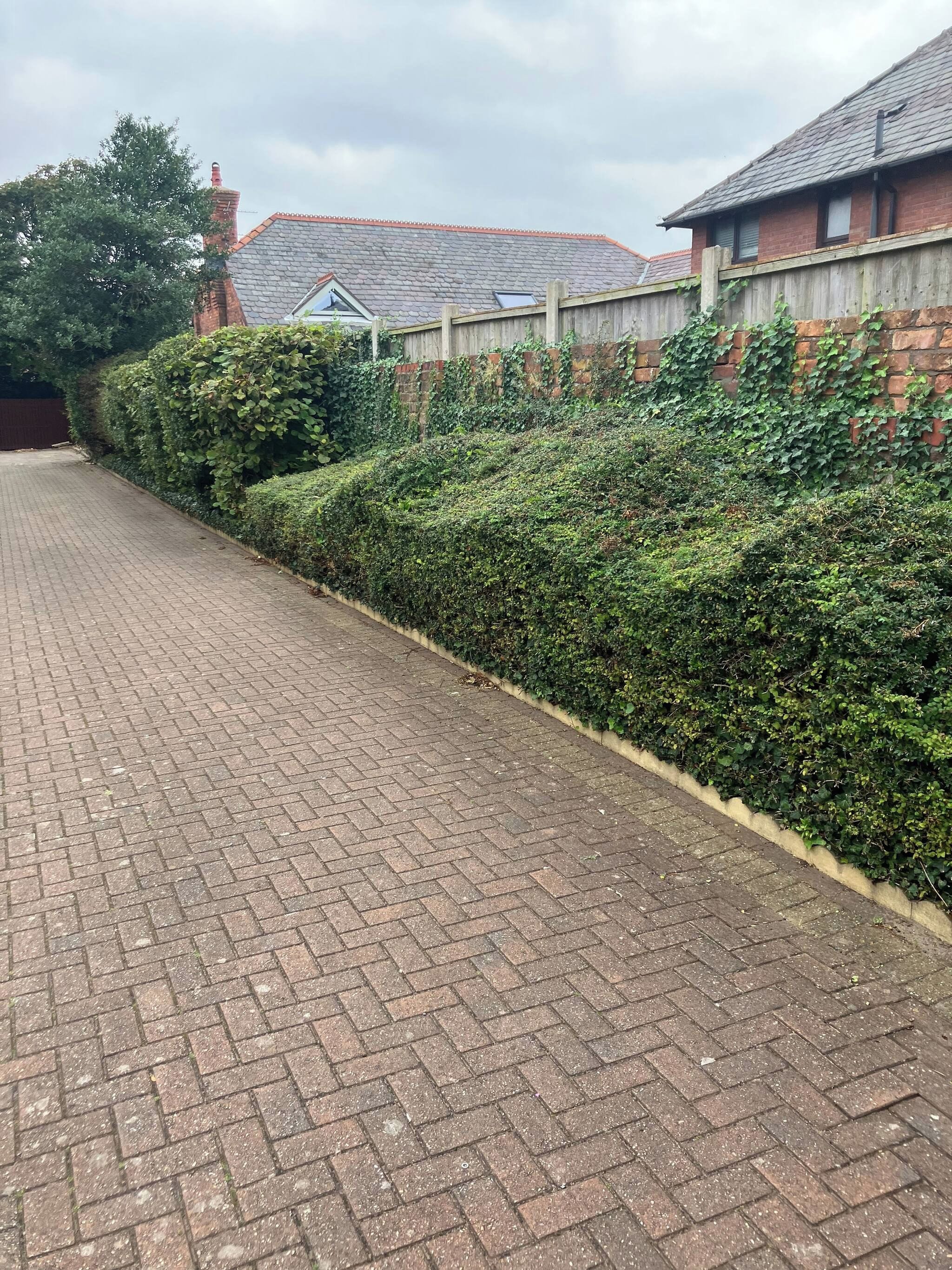 A paved driveway leading to a house with a brick wall and a wooden fence.