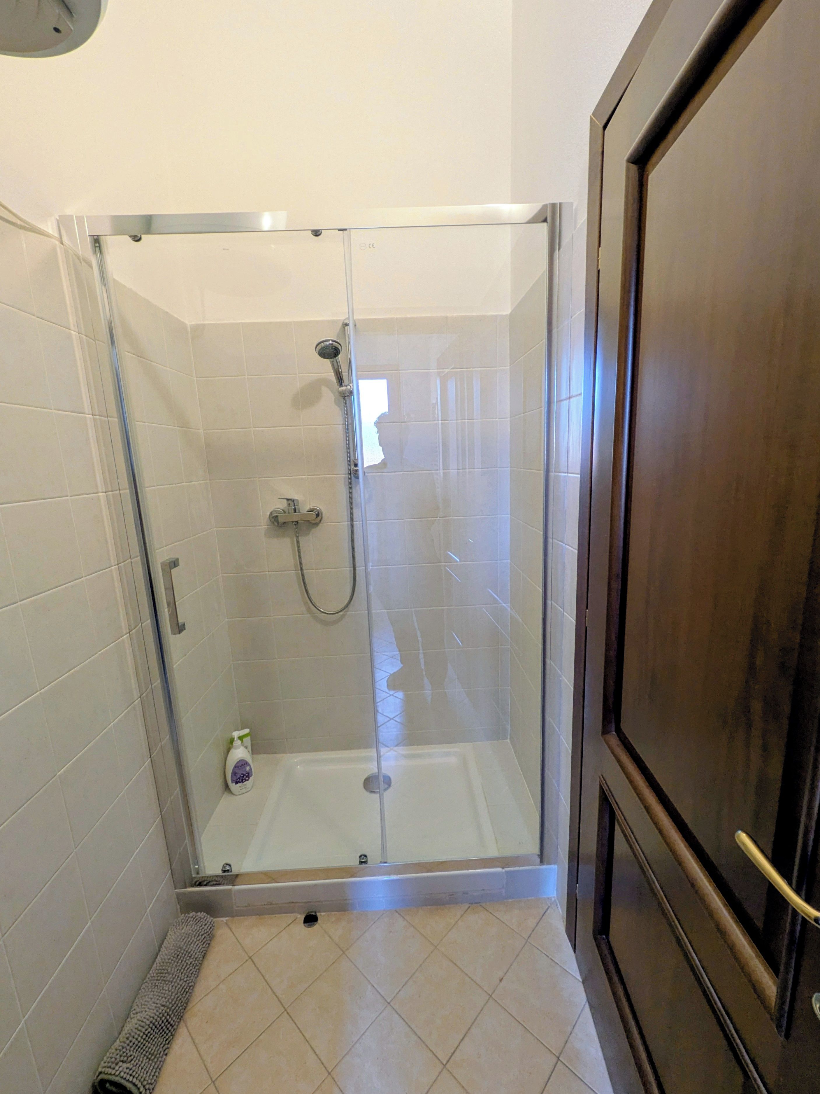 A glass-enclosed shower with a handheld showerhead and a handheld faucet.