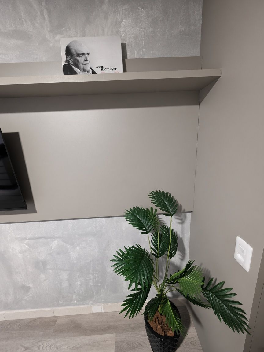 A modern interior with a potted plant, a shelf with a framed picture, and a wall-mounted light switch.