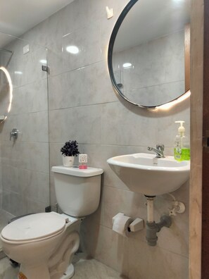 A bathroom with a toilet, sink, mirror, and a potted plant. - Modern, 100 m², 3 beds, great views, Wi-Fi 402 (Medellín)