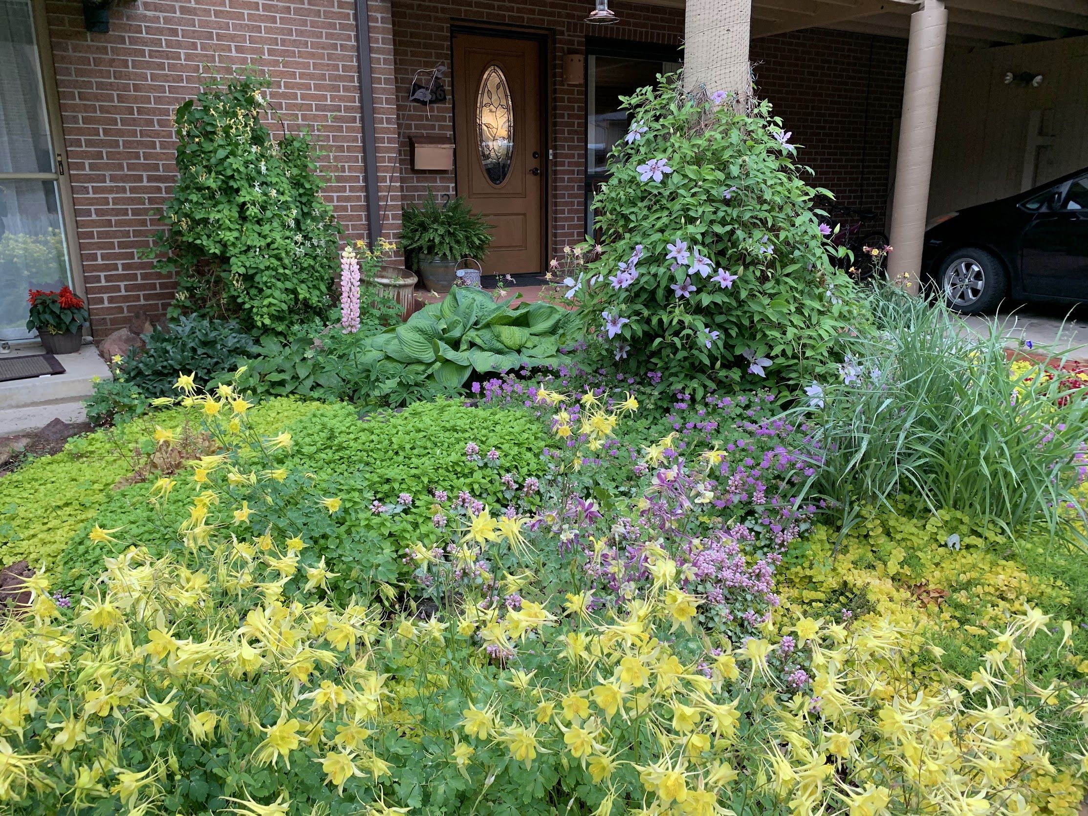 A front yard with a variety of plants and flowers, a brick house, and a car parked in the driveway.