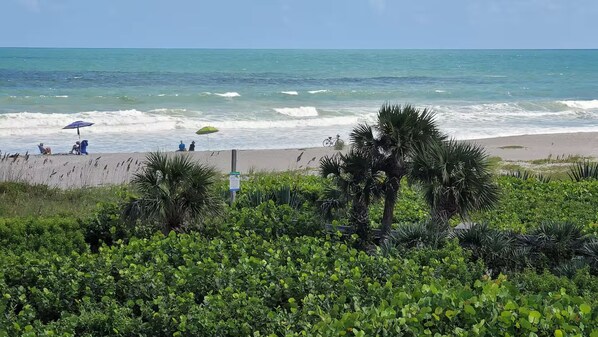 A beach with people relaxing under umbrellas, palm trees, and a clear view of the ocean.