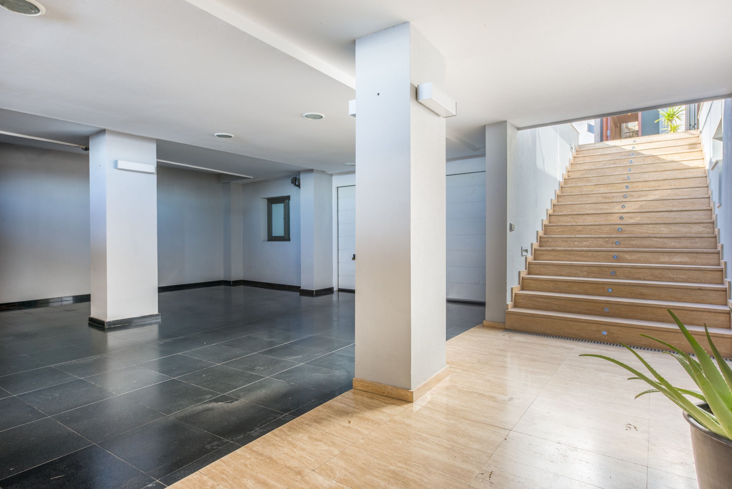 Un intérieur spacieux avec un escalier menant à un niveau supérieur, une plante en pot et une porte au fond du couloir.