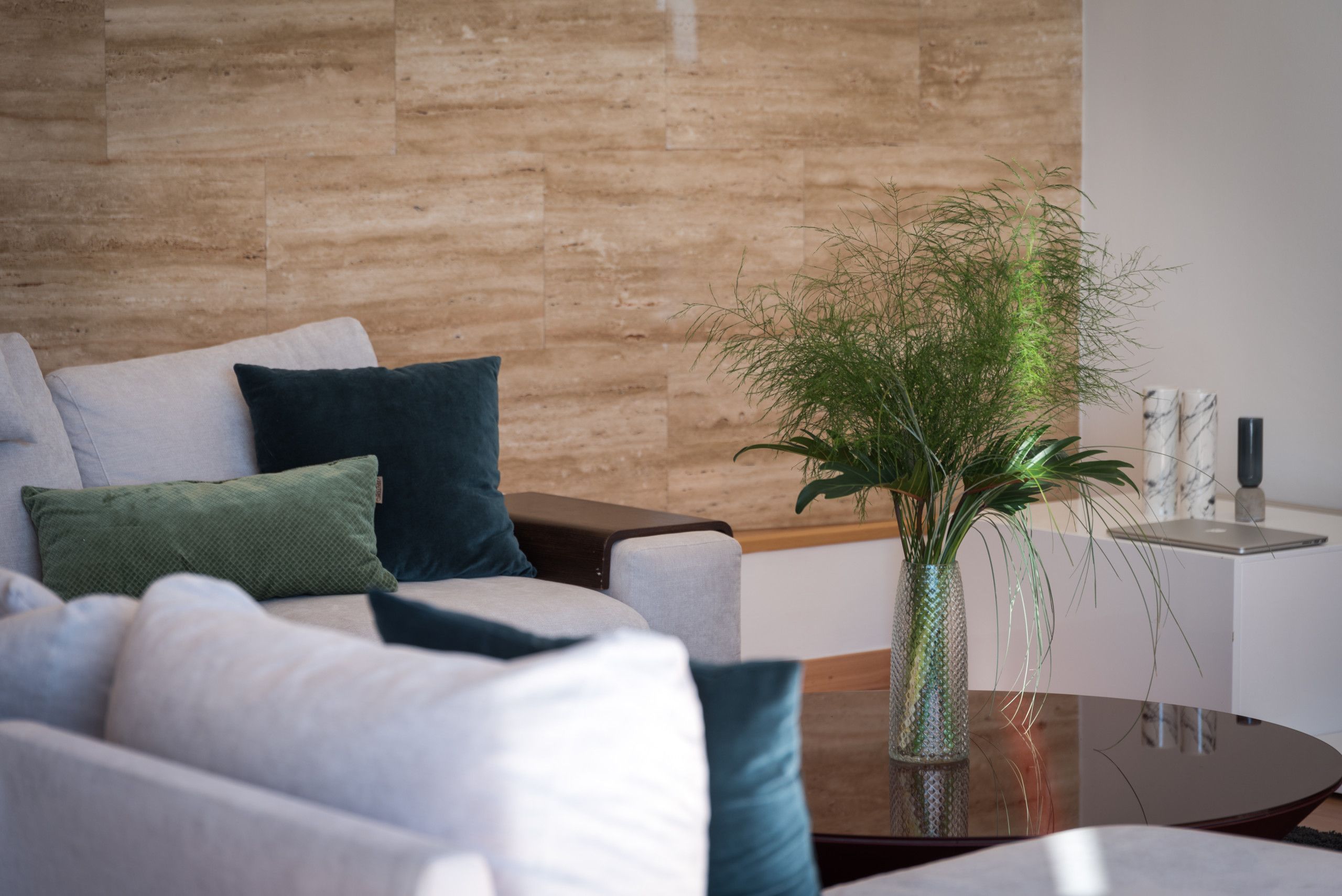 A modern living room with a sofa, cushions, a coffee table, and a potted plant.
