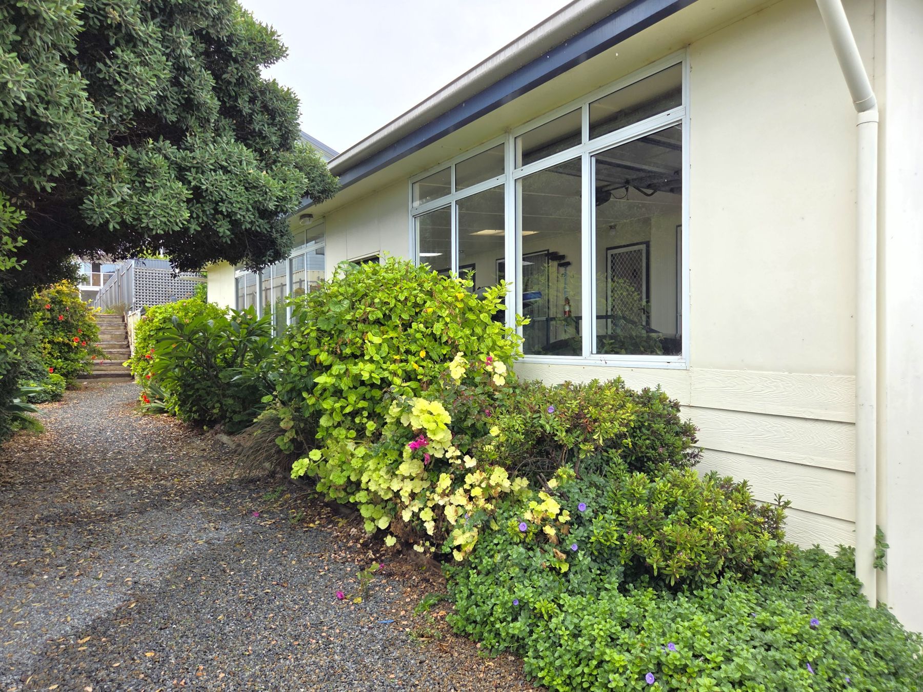 A building with a gravel driveway, a large window, and various shrubs and plants.