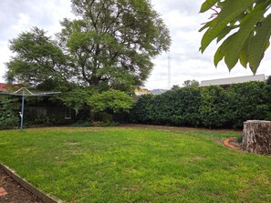 A grassy yard with a swing set, a tree, and a hedge.