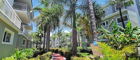 A pathway flanked by lush greenery and palm trees, leading to a building with balconies.