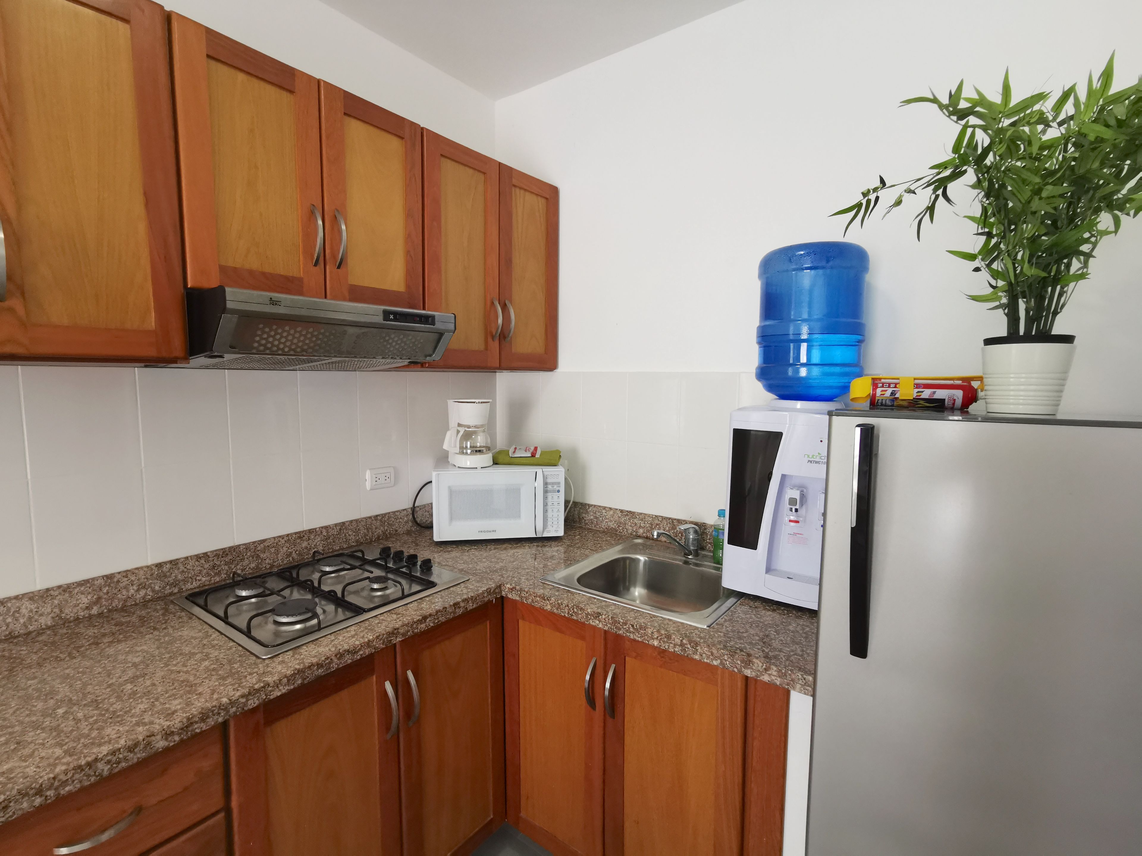 Una cocina con armarios de madera, estufa a gas, microondas, dispensador de agua y una planta en maceta.