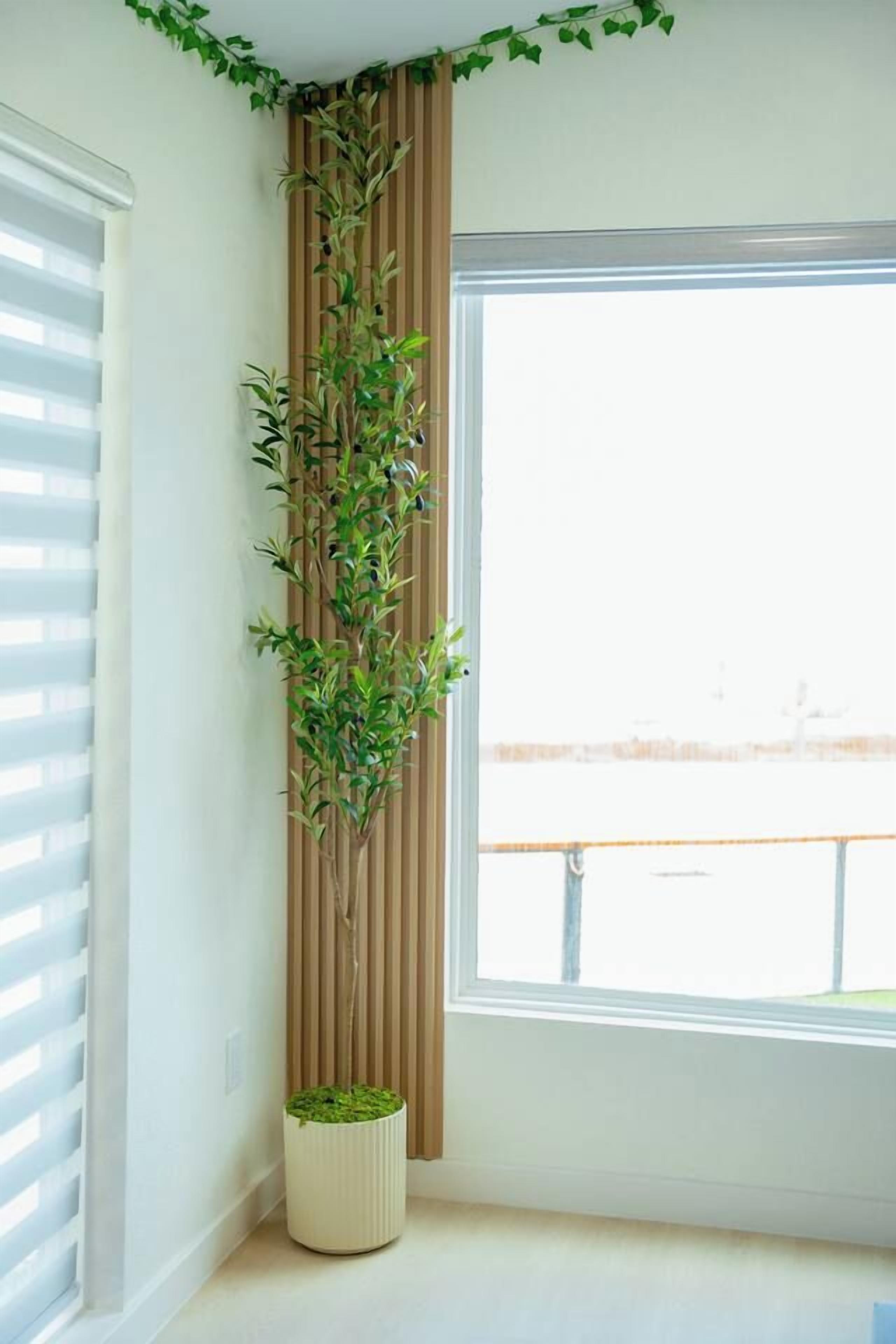 Een hoek van een kamer met een raam, een verticale plant en een potplant op de vloer.