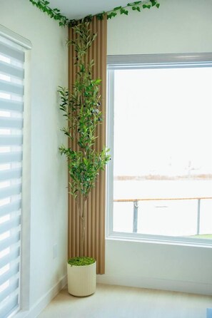 A corner of a room with a window, a vertical plant, and a potted plant on the floor.
