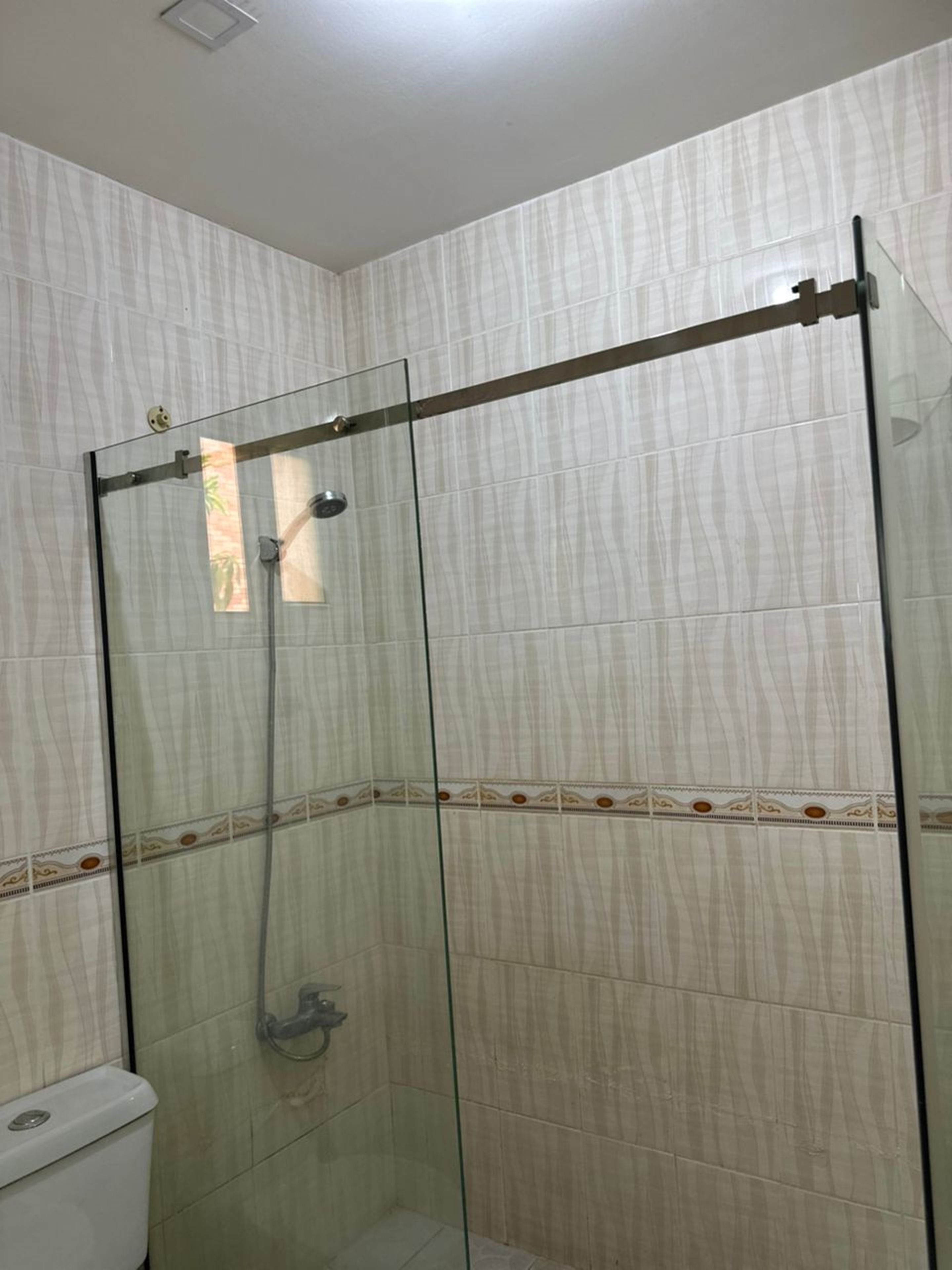 A glass-enclosed shower stall with a horizontal bar, tiled walls, and a toilet visible to the left.