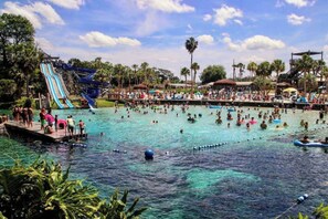 A water park with multiple slides and a crowded swimming area. - Near Tampa, St. Pete & Top Beaches + Pet-Friendly! (Largo)