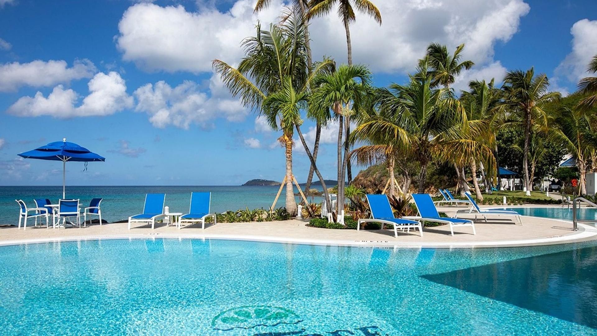 A clear blue pool with lounge chairs and umbrellas, surrounded by palm trees and a view of the ocean.