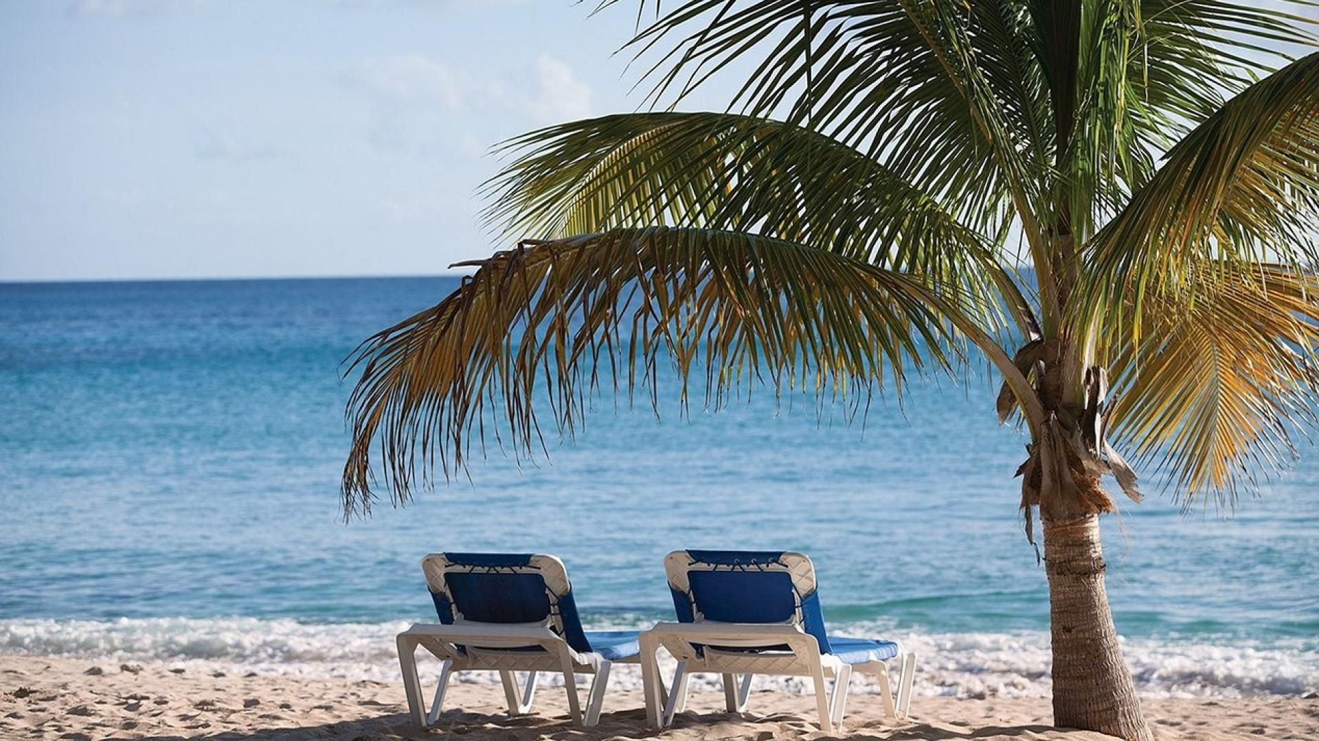 Dos sillas de playa bajo una palmera en una playa arenosa, con el océano al fondo.