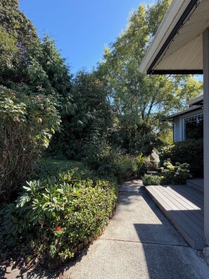 A pathway leading to a house with a covered porch, surrounded by dense greenery and trees. - Cozy Saanich 1 BR Suite | Private Patio & Yard (Victoria)