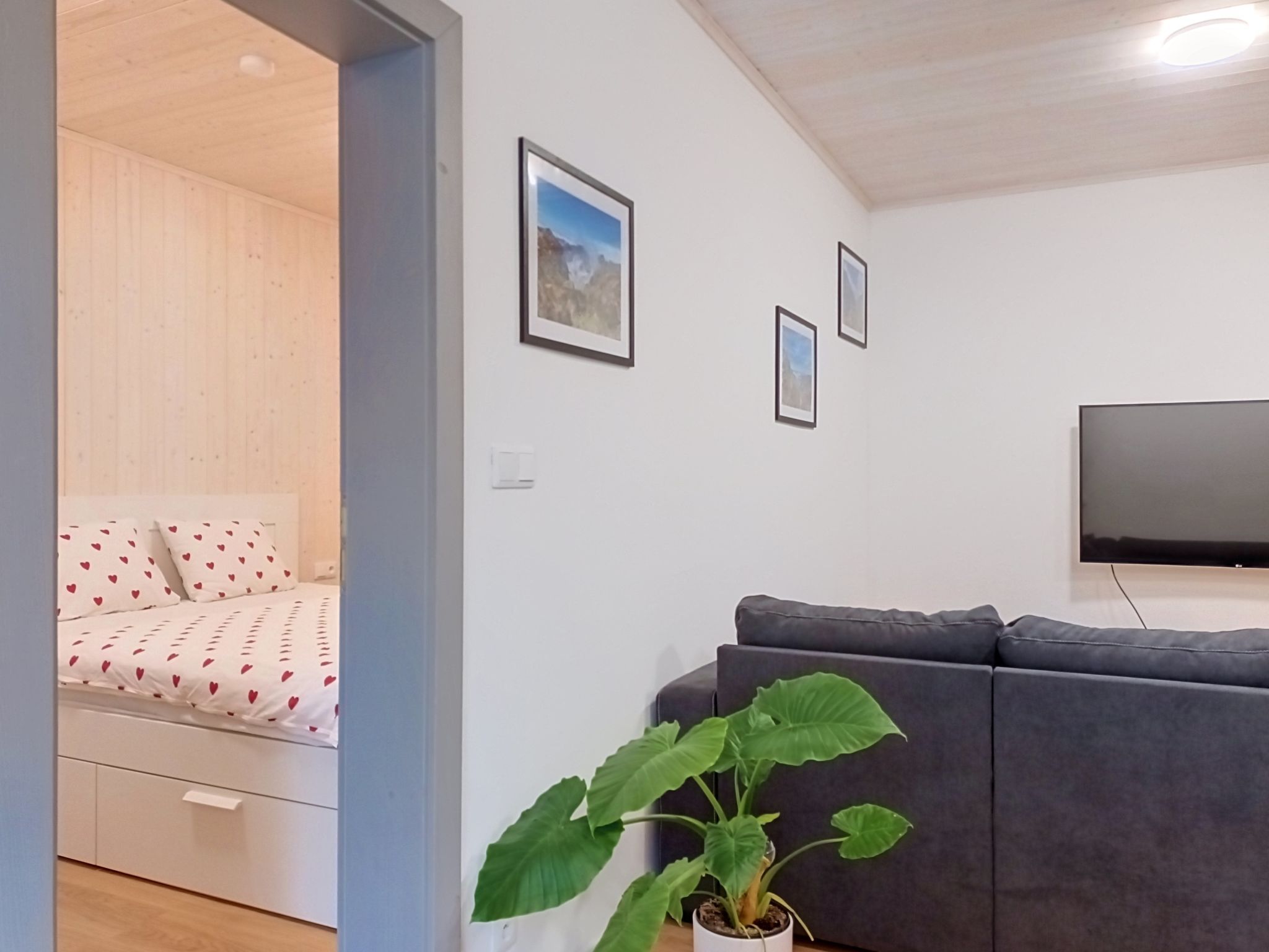 Una sala de estar moderna con sofá, televisor de pantalla plana y cama con ropa de cama estampada en forma de corazón.