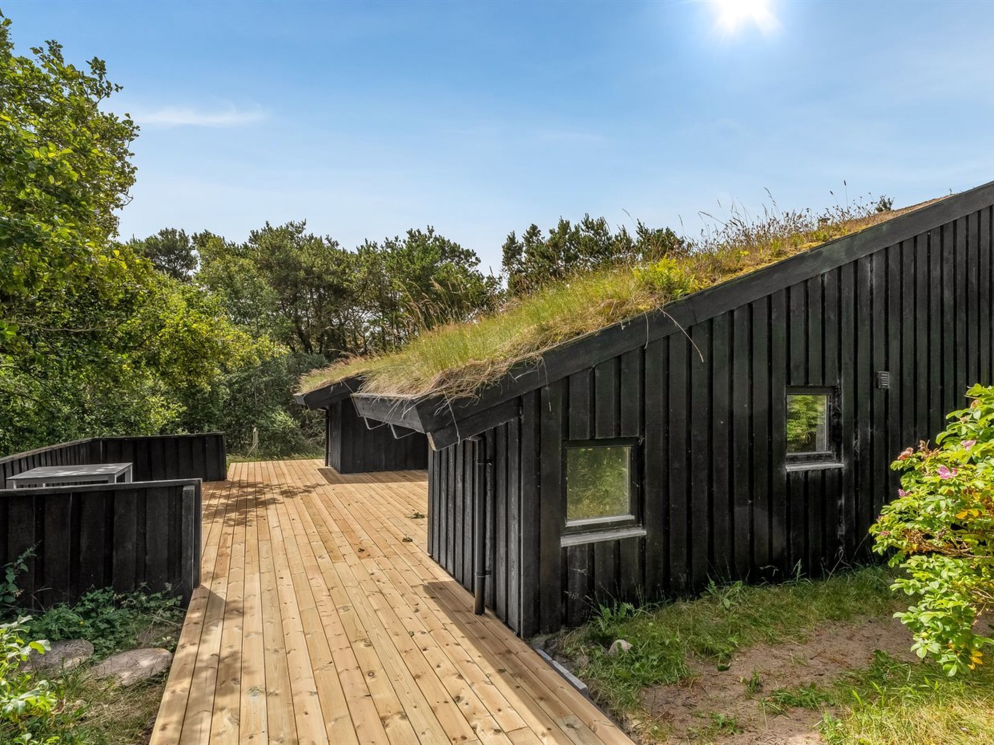 A wooden deck leading to a building with a sloped roof covered in vegetation.