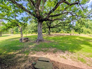 A large tree in a park with a stone bench nearby. - The Hilltop Farmhouse (Mena)
