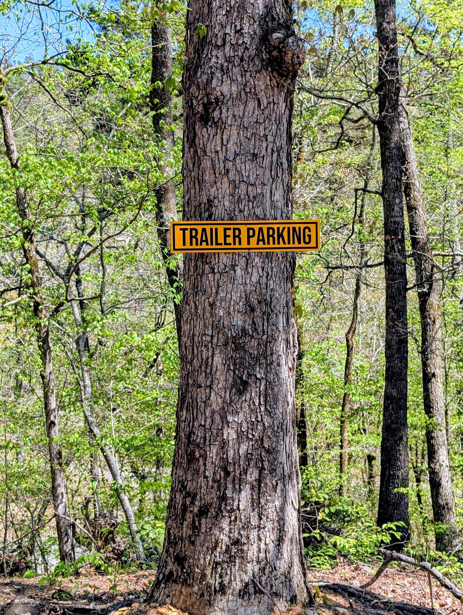 Segnaletica su un albero che indica il parcheggio per camper.