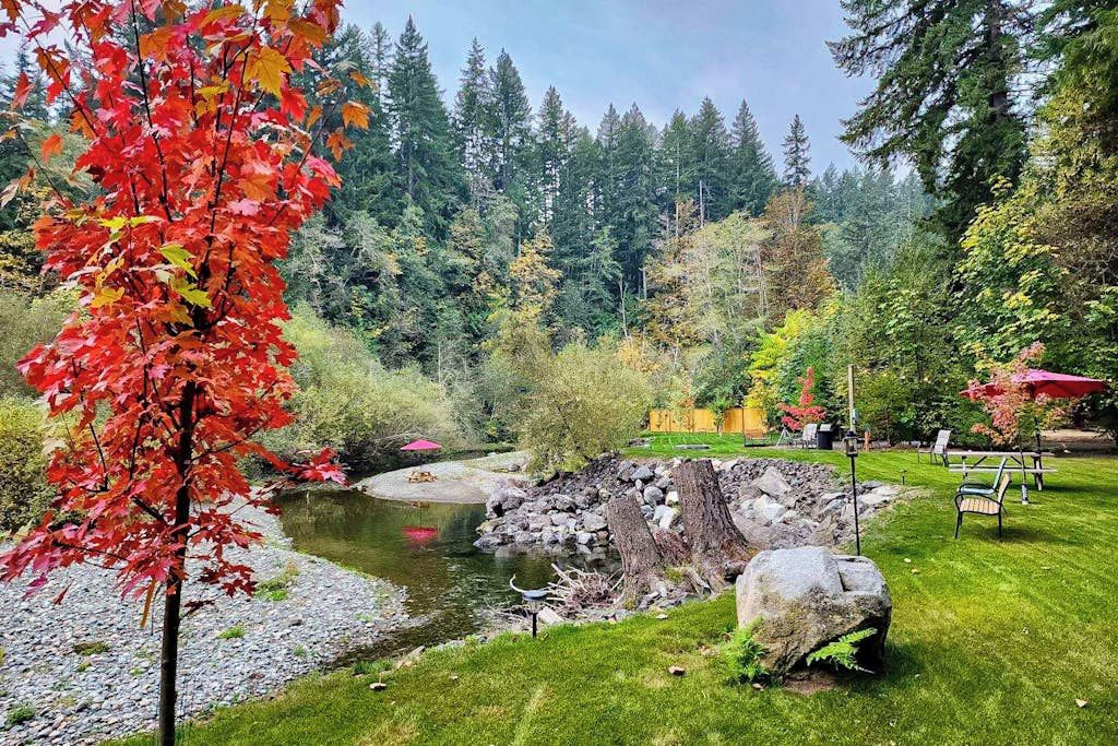 A garden with a pond, trees, and outdoor seating.