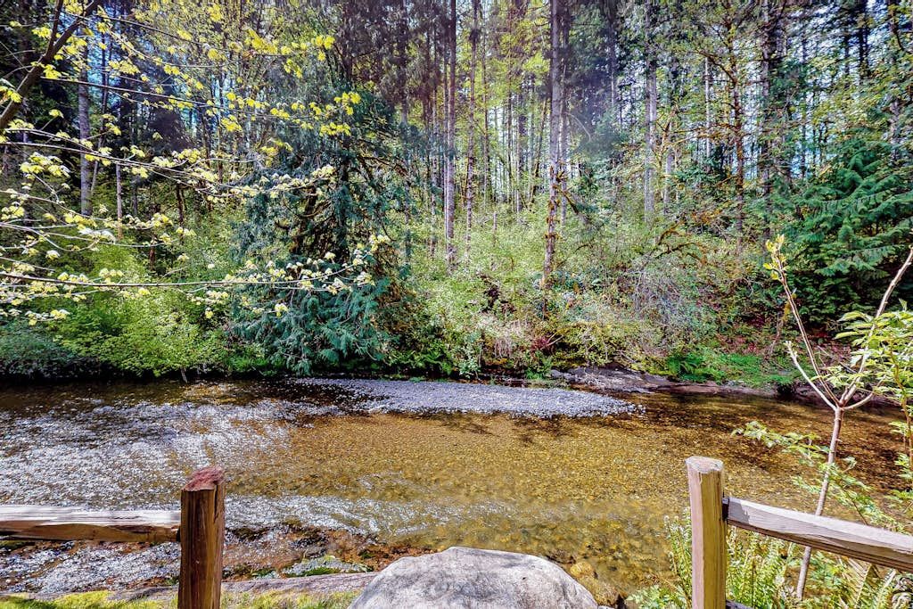 Zona boscosa con un arroyo, puente de madera y entorno natural.