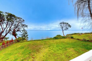 A grassy area with a view of the sea and trees.