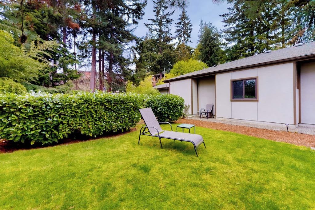 A well-maintained lawn with a single lounge chair, a building with a window, and dense surrounding trees.