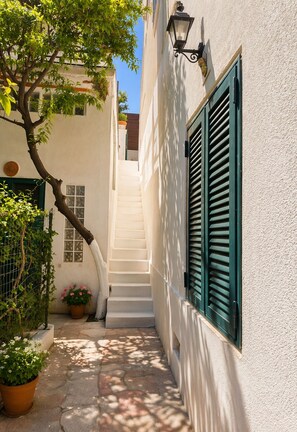 Ein schmaler Gang mit einer Treppe, die zu einem Gebäude mit grünen Fensterläden und einem Blumentopf führt.