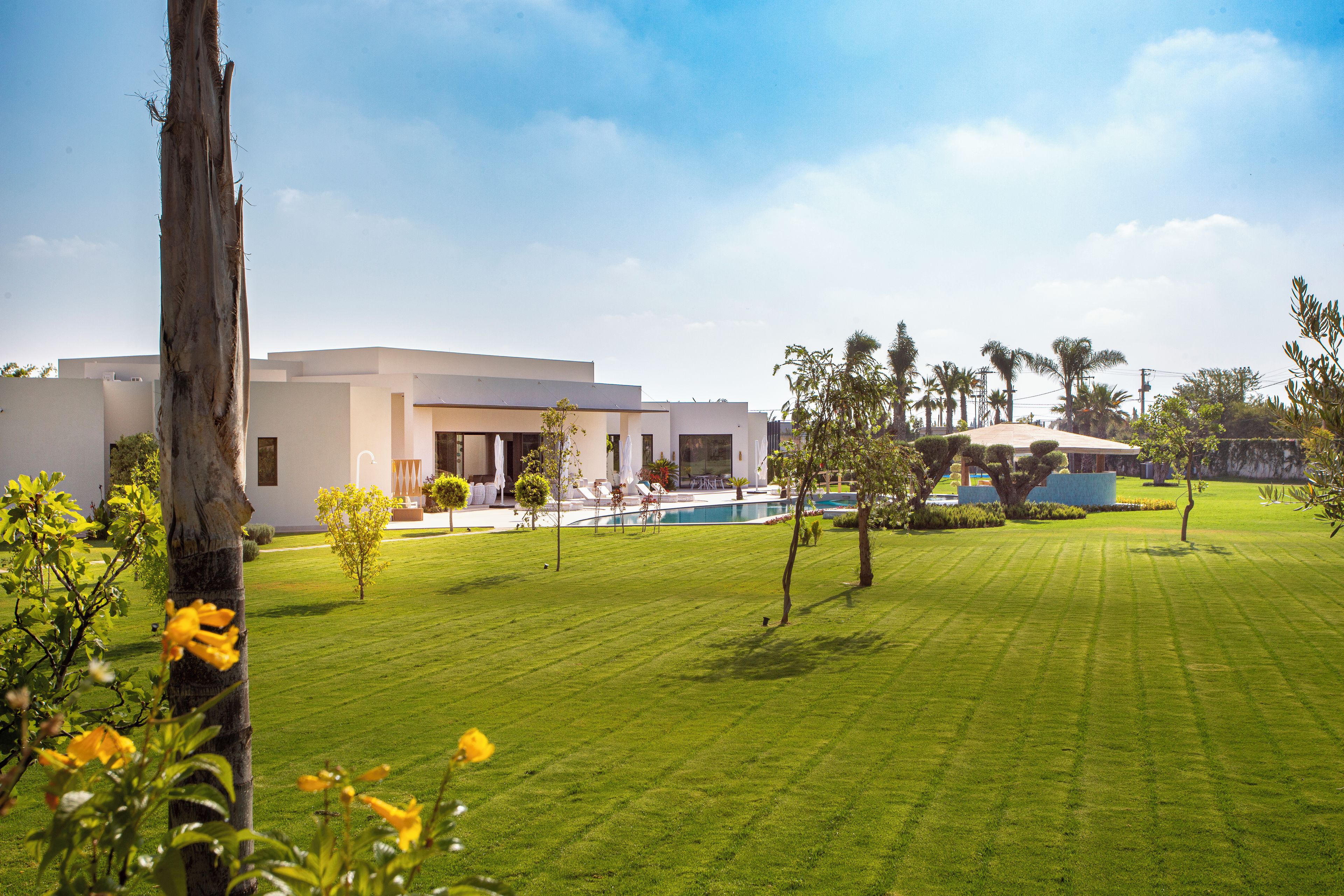 A modern building with a swimming pool, surrounded by well-maintained grass and palm trees.